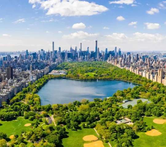 Central Park Central Park