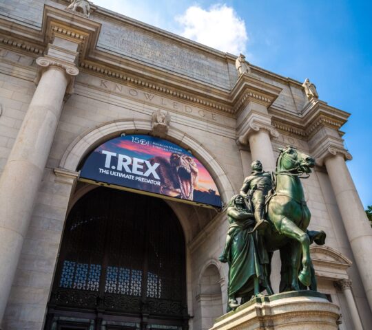 American Museum of Natural History