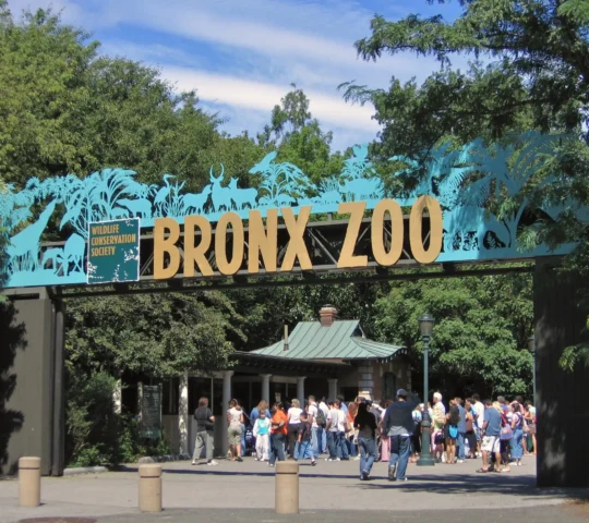 Bronx Zoo