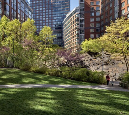 Teardrop Park New York Teardrop Park New York