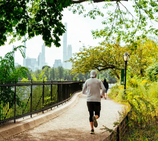 Løberuter i New York Løberuter i New York